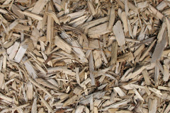 biomass boilers Tynreithin